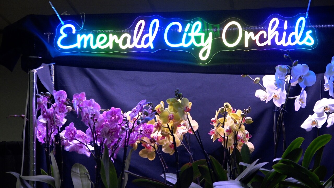 This year features the orchid show