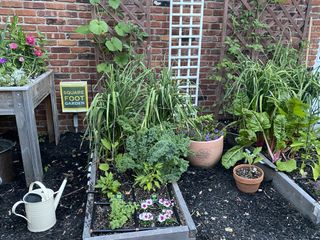 A raised vegetable garden divided into square feet segments with plants growing vertically up a wall
